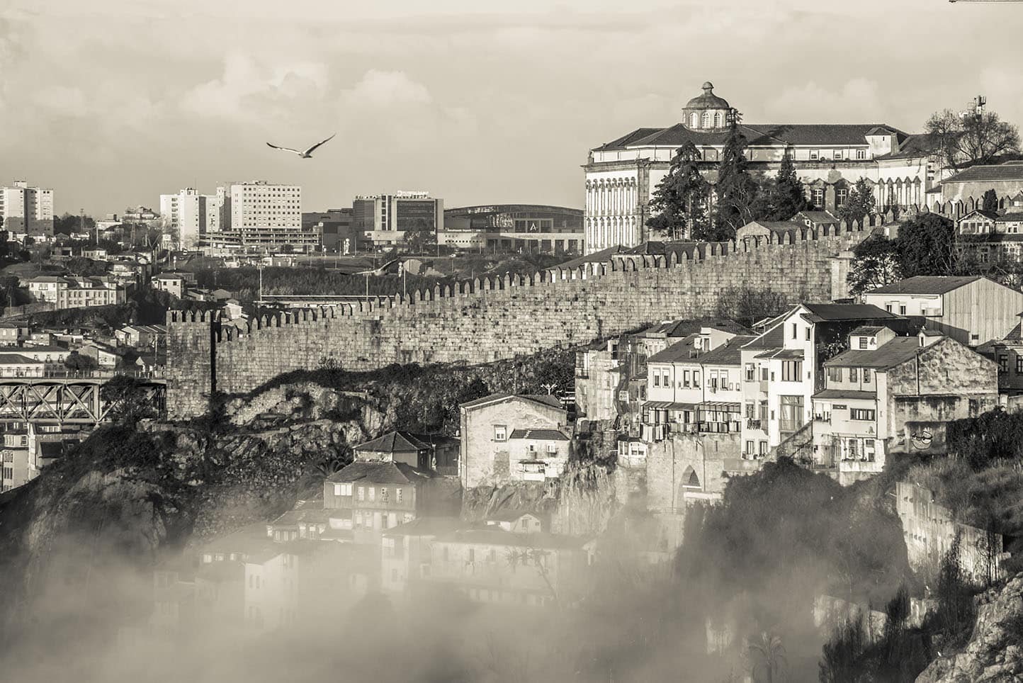 photo Fernandine wall