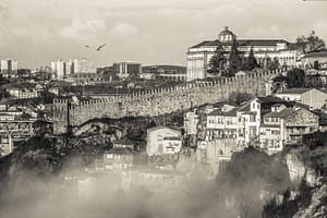 photo Fernandine wall